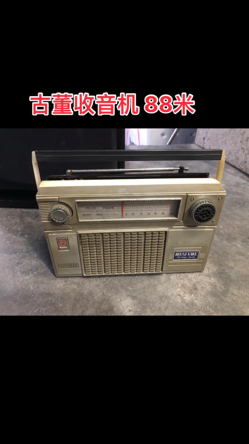 沧州藏宝阁：古籍珍藏与文化传承的新地标